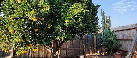 2nd image of 1002 Nita Ct