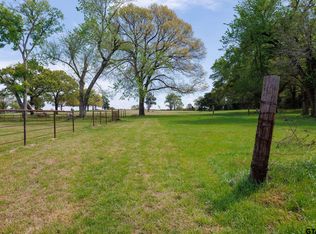 411 Vz County Road 4313, Ben Wheeler, TX 75754