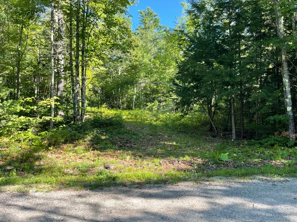 Lot #0 Birch View Drive, Albany Twp, ME 04217