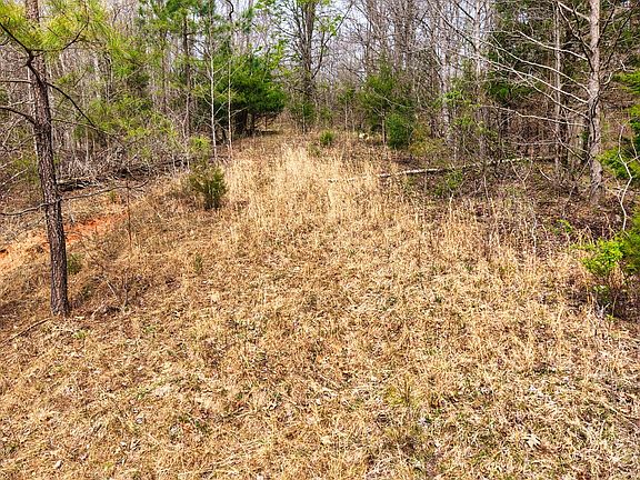 5th image of 2025 Williams Grove Rd