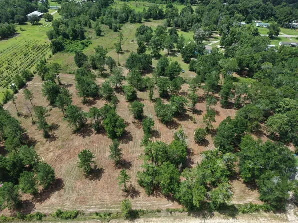 0 Corn Griffin St, Wewahitchka, FL 32465