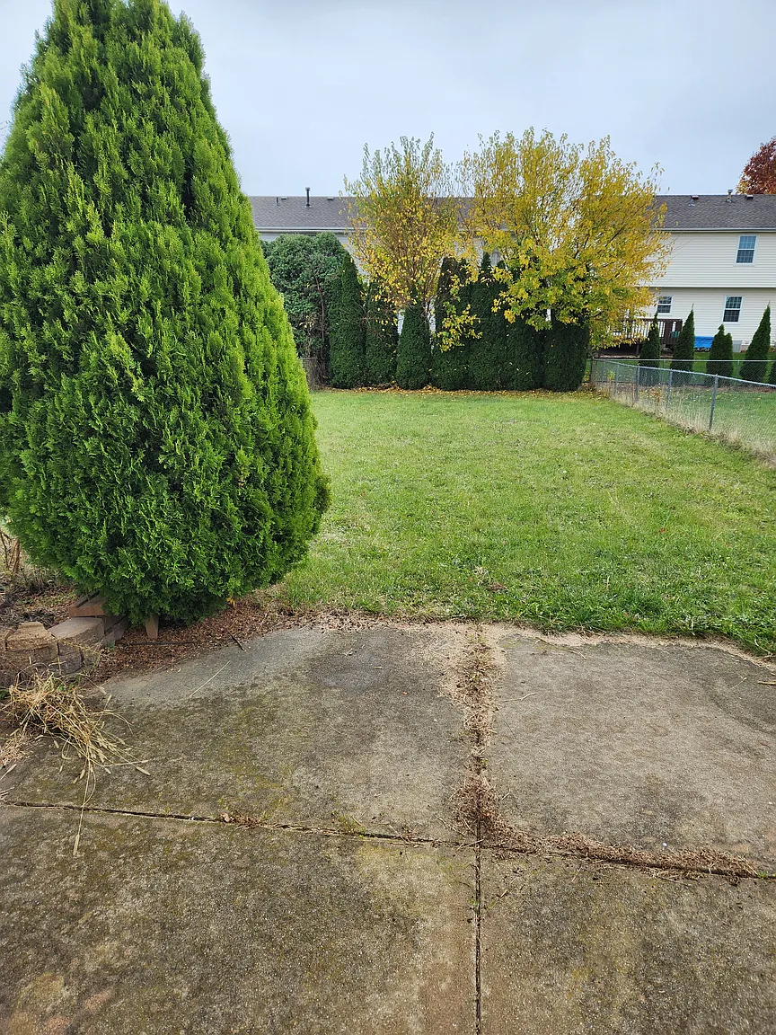 2809 Gill St photo 1