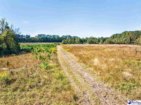 3rd image of 0 Fowler Rd Lot 2