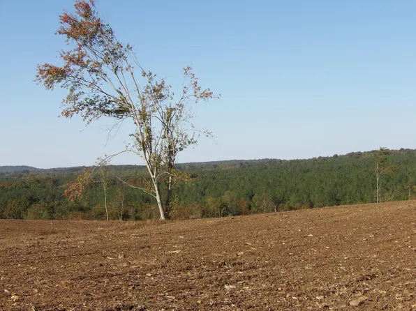 12 Summer City Rd, Evensville, TN 37332