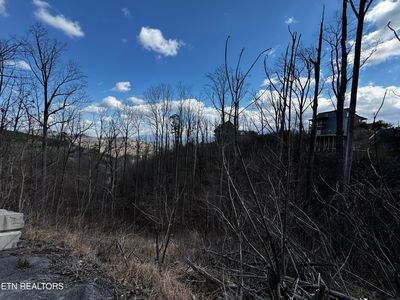 Chestnut Dr, Gatlinburg, TN, 37738