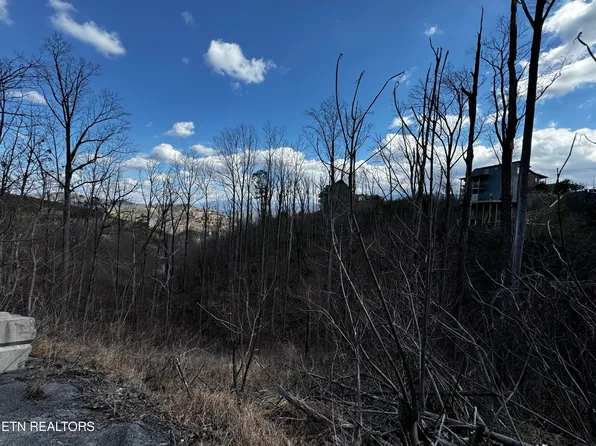 Chestnut Dr, Gatlinburg, TN 37738