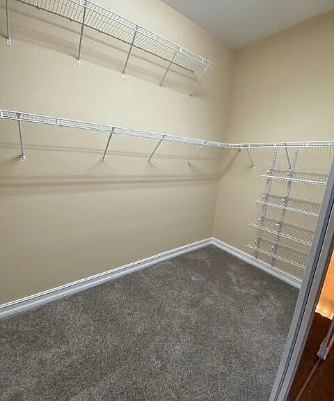 9504 Equus Cir — Photo 19