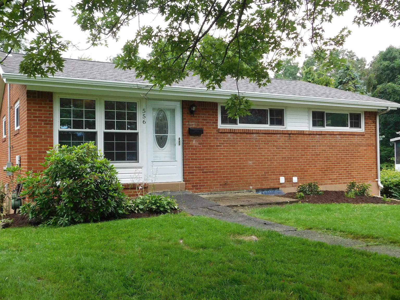 556 Firethorne Dr photo 1