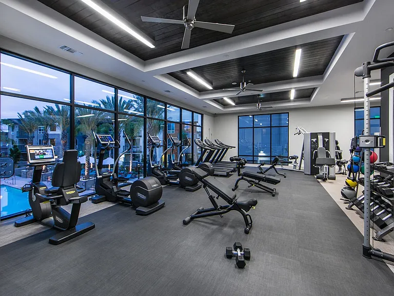 Pulse Millenia — Photo 15