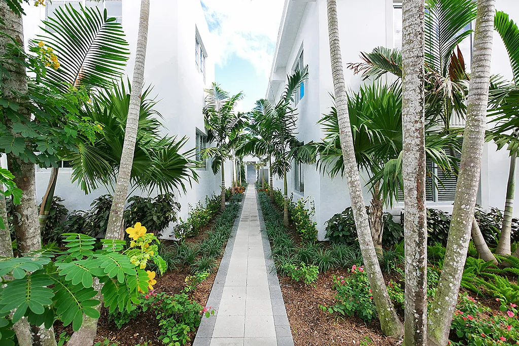 Jefferson Palms - Miami beach — Photo 1