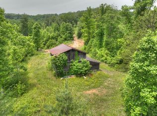 1 Hidden Cove Rd, Blue Ridge, GA 30513