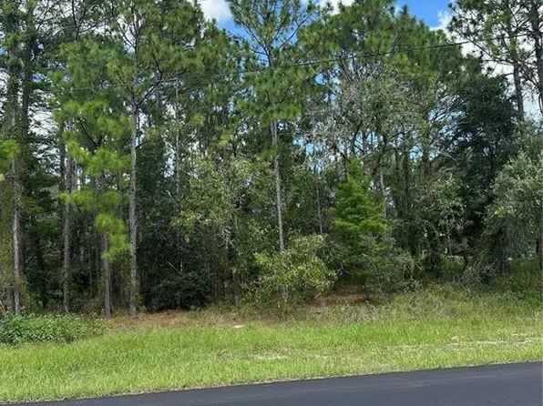 116 Corkwood Blvd, Homosassa, FL 34446