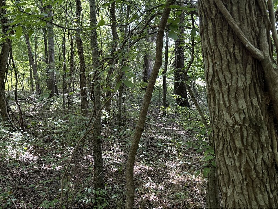 1st image of 0 McAdams Rd