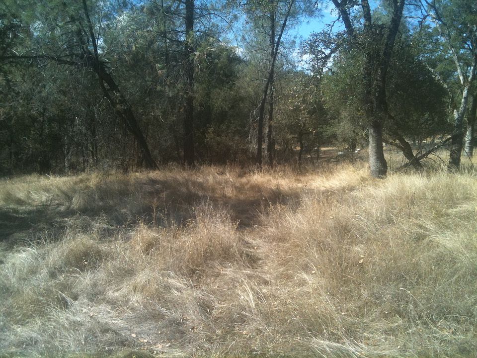 1st image of 101 Loretta Ln