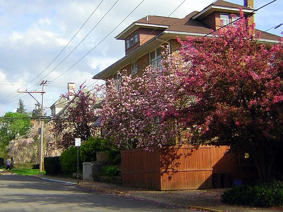 Simpson Rd. side of house