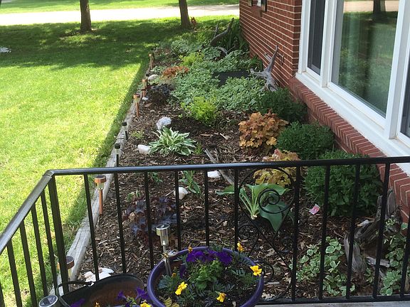 Landscaping in Front