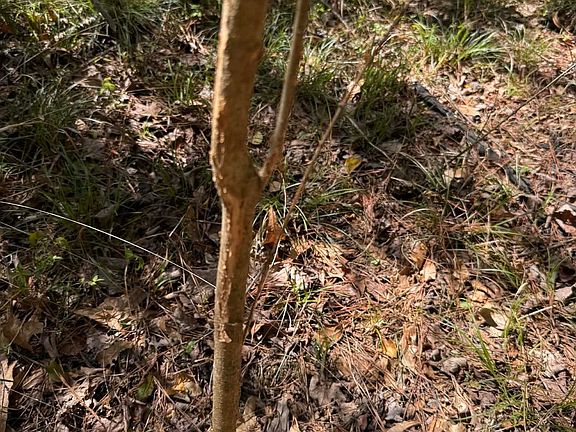 5th image of Camp Rd