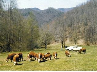 4126 Boiling Springs Rd, Murphy, NC 28906