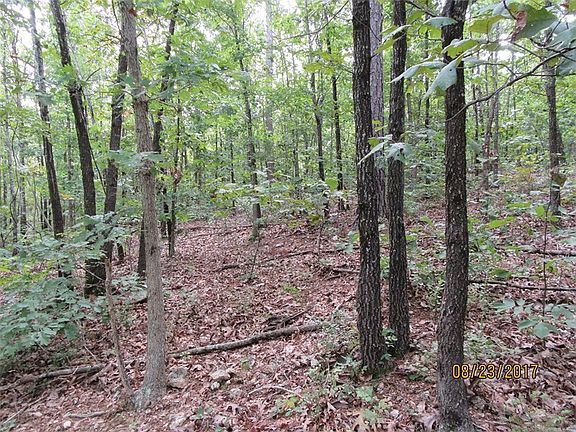 4th image of Madison County Rd #1425