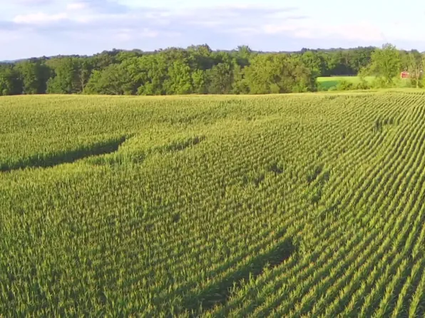 Lingenfelter Rd, Loogootee, IN 47553