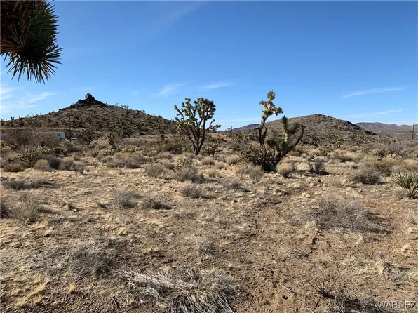 16773 N Mount Tipton Dr, Dolan Springs, AZ 86441