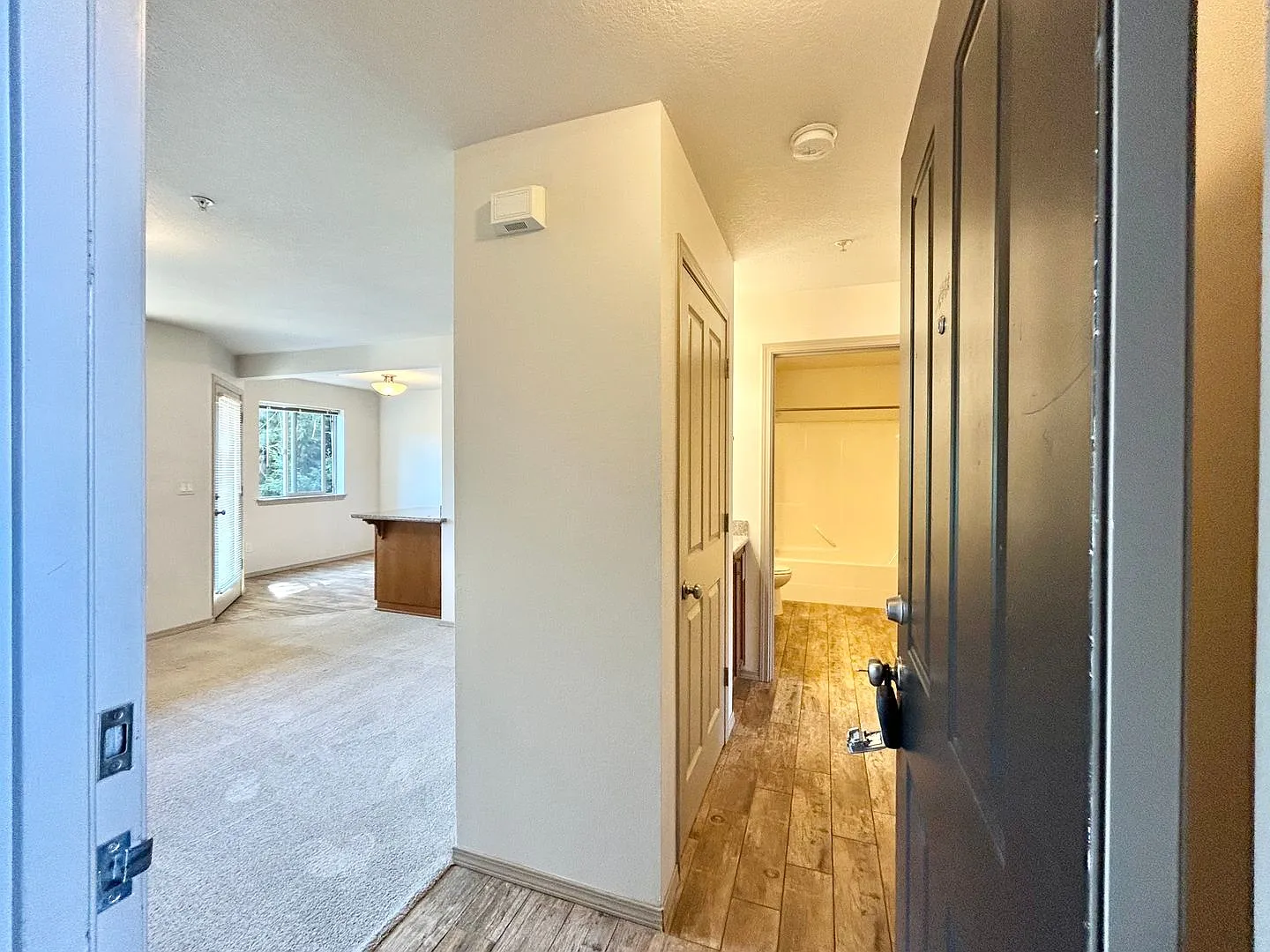 Johnson Street Apartments - Two Bed, One Bath Units Available Now! — Photo 4