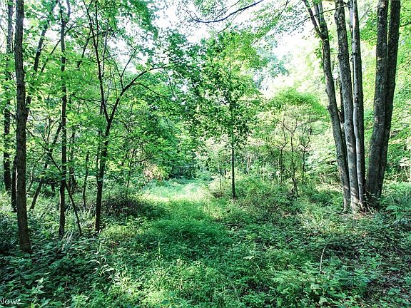 4th image of 338 Township Rd