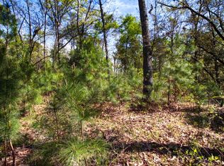 204 Fig Tree Ct, Pikeville, NC 27863