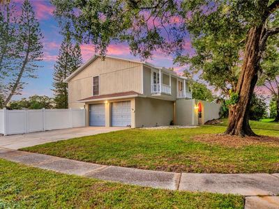 16216 Fantasia Dr, Tampa, FL, 33624