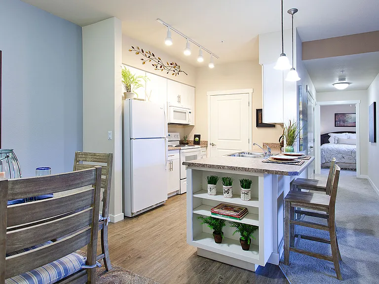 Well Equipped Kitchen