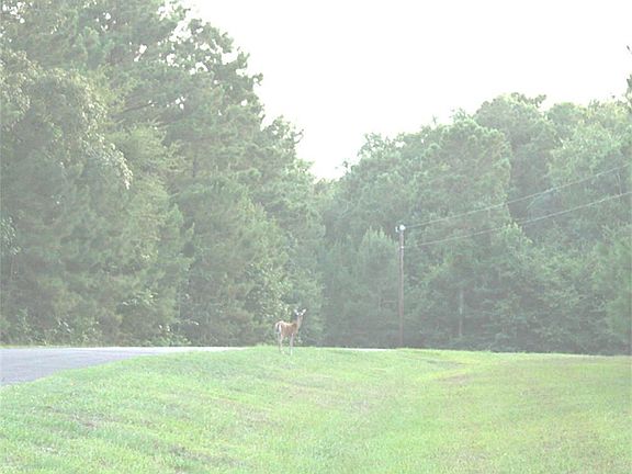 5th image of 7579 Saddle Blanket Dr