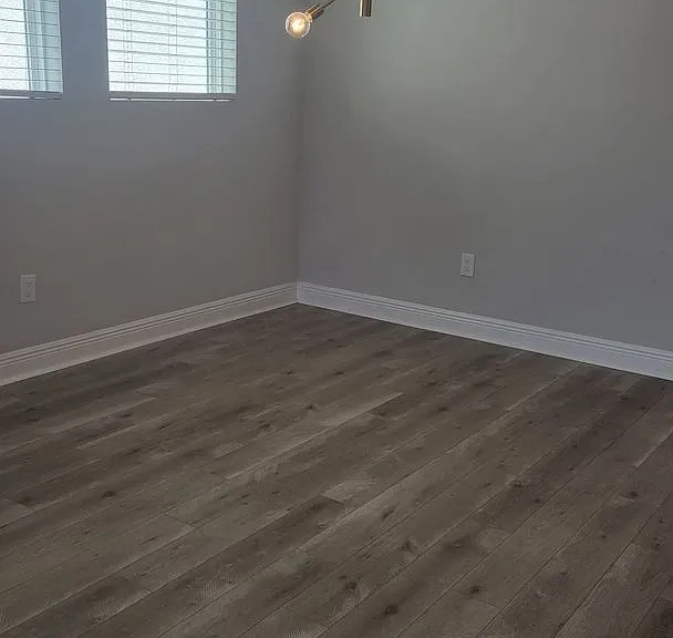 5534 Spanish Moss Cv — Photo 7