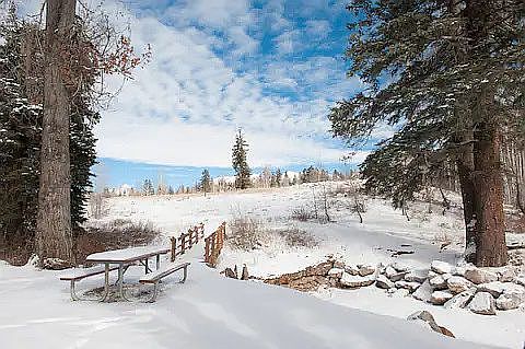 Backyard creek & bridge view