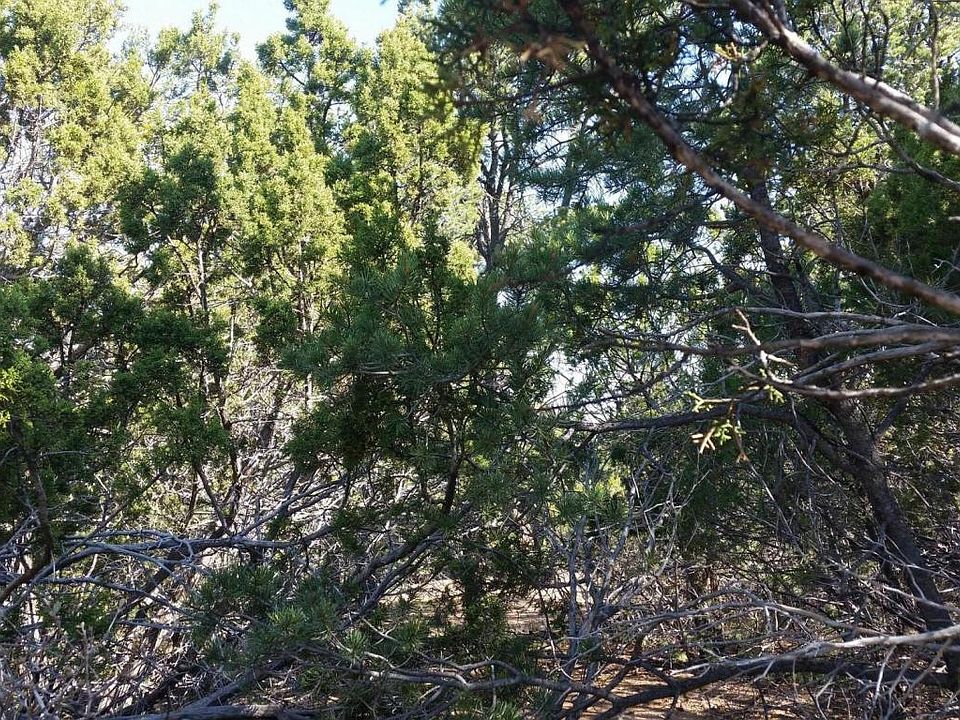 2nd image of 96 Longview Dr