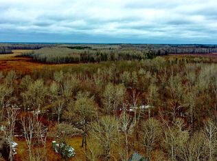 61613 Park Hills Rd, Bruno, MN 55712