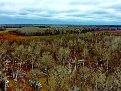 61613 Park Hills Rd, Bruno, MN, 55712
