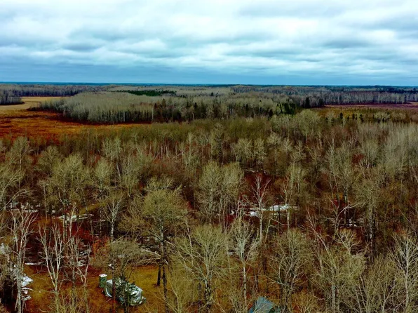 61613 Park Hills Rd, Bruno, MN 55712