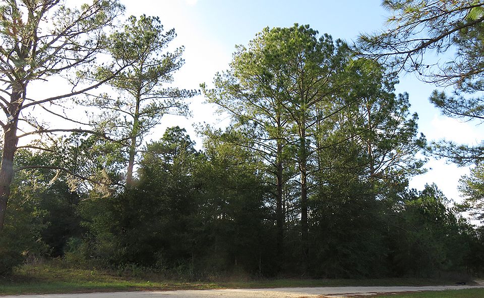 1st image of SE 197th Ave