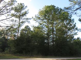 SE 197th Ave, Morriston, FL 32668