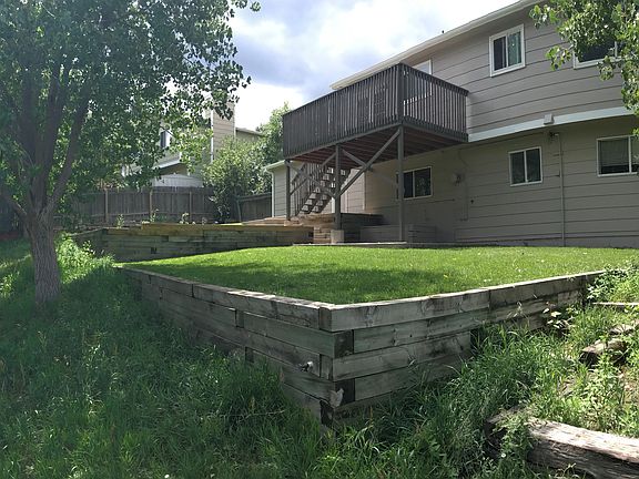 Back yard