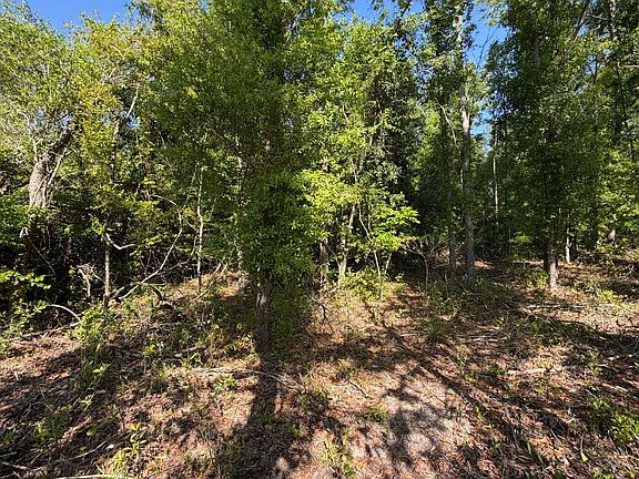 2nd image of Tbd 217th Rd