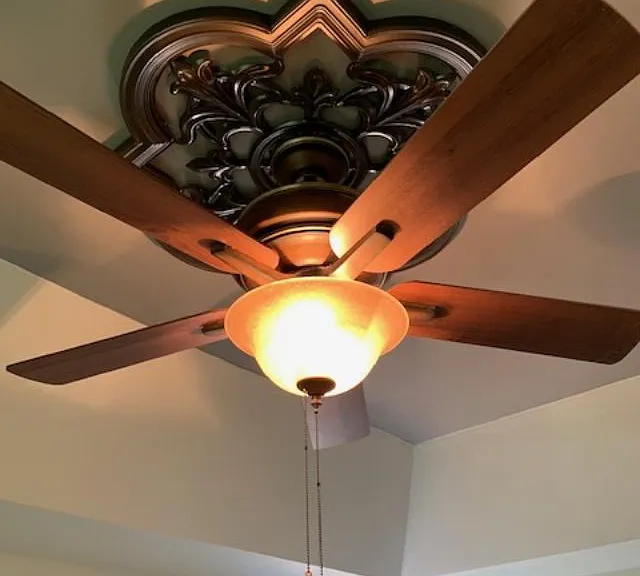 Ceiling in Master Suite