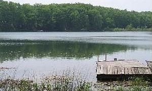 2nd image of 9037 W 5 Mile Rd