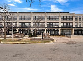 1071 W 15th St UNIT 152, Chicago, IL 60608