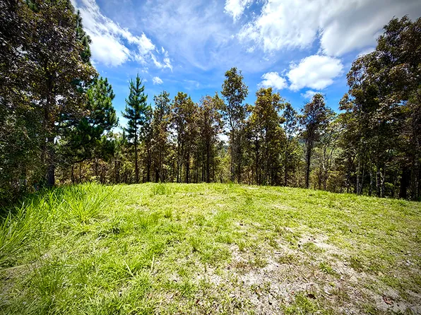 Lote 11 Carr Prairie Km #738-7.7, Cayey, PR 00736