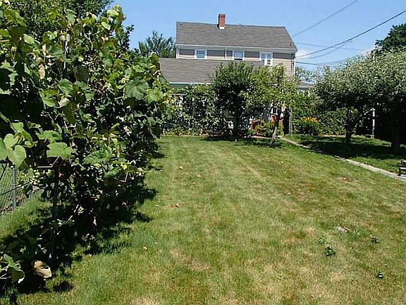 Backyard looking towards house