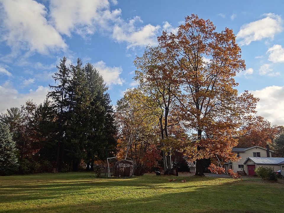 Back yard looking to house.