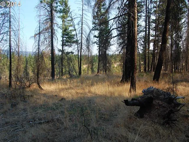 551 England Rd photo 1