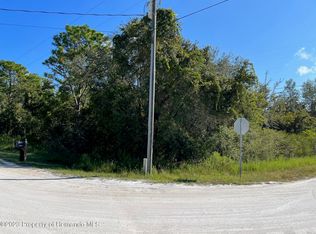 13500 Downy Woodpecker Rd, Weeki Wachee, FL 34614