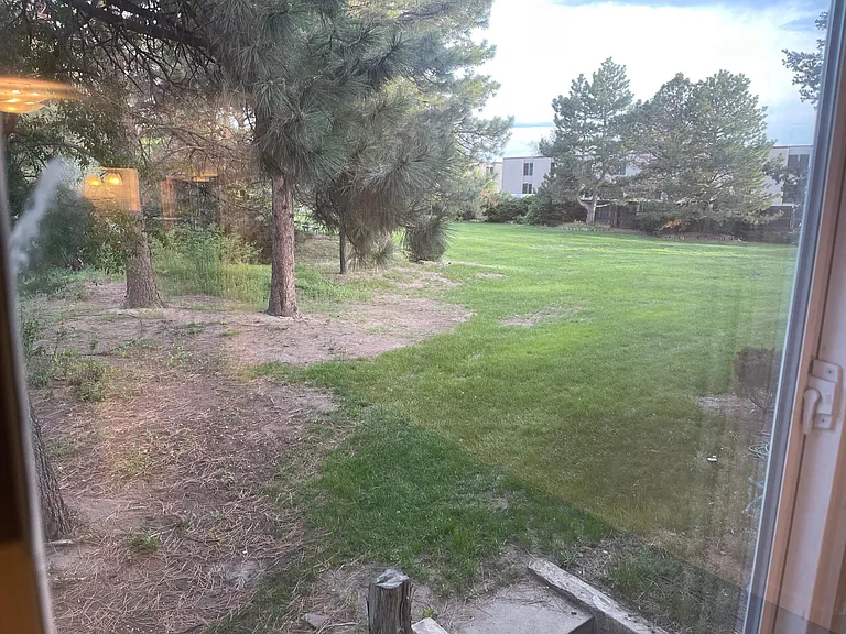 View from living room